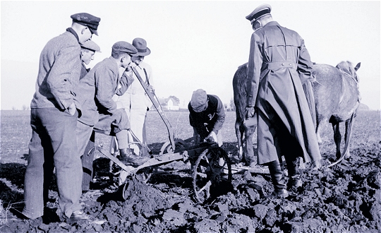 ... und die &Uuml;berpr&uuml;fung der landwirtschaftlichen F&auml;higkeiten der Siedler.
