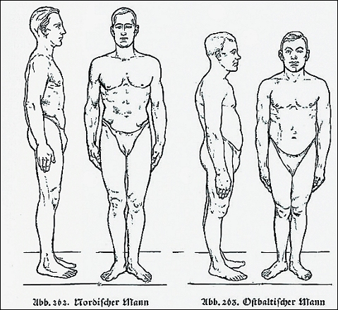 Hans F. K. G&uuml;nthers „Rassenkunde des deutschen Volkes“ von 1930 ...
