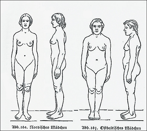 ... visualisierte vermeintliche Rassenmerkmale holzschnittartig.